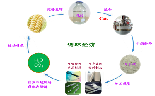 2017年中国聚乳酸行业发展概况分析及发展前景分析图