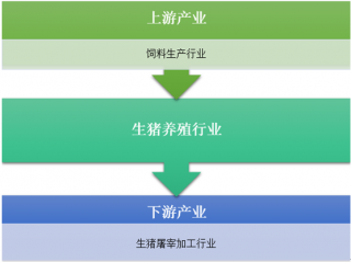 2017-2018年中國生豬養(yǎng)殖產(chǎn)業(yè)鏈、市場規(guī)模及豬肉產(chǎn)銷量情況統(tǒng)計（圖）