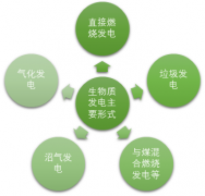 2017年我國(guó)生物質(zhì)發(fā)電產(chǎn)業(yè)發(fā)展概況及并網(wǎng)容量分省市統(tǒng)計(jì)【圖】