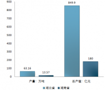 湖南小龍蝦產(chǎn)業(yè)發(fā)展集中區(qū)域及產(chǎn)業(yè)扶持政策【圖】