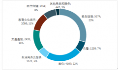 2018年上半年全國居民人均可支配收入達14063元，以58987.96元位居全國首位（圖）