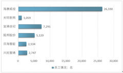 物聯(lián)網(wǎng)智能硬件進入市場啟動期，國內(nèi)企業(yè)區(qū)域格局及重點企業(yè)競爭對比分析【圖】