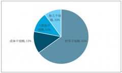 我國干細(xì)胞治療技術(shù)加速積累，干細(xì)胞專利4912件，干細(xì)胞治療規(guī)模突破300億元【圖】