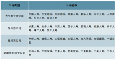 2018年中國(guó)壽險(xiǎn)市場(chǎng)發(fā)展回顧及2019年壽險(xiǎn)行業(yè)發(fā)展前景分析[圖]