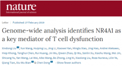 中國(guó)學(xué)者發(fā)現(xiàn)調(diào)控T細(xì)胞功能障礙的重要因子[圖]