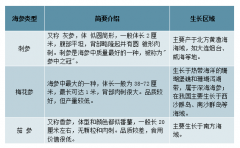 2019年中國海參養(yǎng)殖行業(yè)發(fā)展現(xiàn)狀及發(fā)展前景分析[圖]