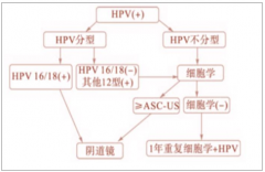 中國(guó)宮頸癌初篩及HPV檢測(cè)空間發(fā)展趨勢(shì)分析[圖]