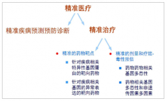 2019年中國(guó)精準(zhǔn)醫(yī)療行業(yè)發(fā)展概況、行業(yè)動(dòng)態(tài)及未來(lái)發(fā)展趨勢(shì)分析[圖]