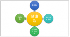 隨著老齡化加速、收入水平提高等因素驅(qū)動(dòng)，健康險(xiǎn)成藍(lán)海市場(chǎng)，未來(lái)需求仍會(huì)不斷加深[圖]