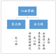 2018年心血管病患者近3億，中成藥類心血管病藥物快速增長[圖]