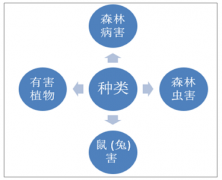 2018年中國林業(yè)有害生物發(fā)生防治面積及存在問題和應(yīng)對(duì)措施分析[圖]