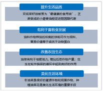 2018年中國油料生產(chǎn)情況及行業(yè)可持續(xù)發(fā)展問題及建議[圖]