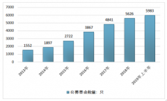 2019上半年中國公募證券投資基金數(shù)量、份額及凈值規(guī)模分析[圖]