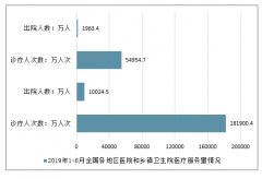 2019年上半年中國(guó)各地區(qū)醫(yī)院診療人次、出院人數(shù)、病床使用情況及醫(yī)療服務(wù)產(chǎn)業(yè)發(fā)展趨勢(shì)分析[圖]