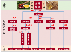 2018年全球油脂化工行業(yè)現(xiàn)狀分析，油脂化工行業(yè)進(jìn)入了快速發(fā)展的通道[圖]