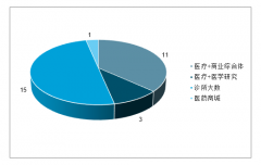 全球醫(yī)療綜合體定位情況、商業(yè)模式及醫(yī)療綜合體發(fā)展現(xiàn)狀及發(fā)展困境分析[圖]