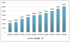 2019年中國民航規(guī)模持續(xù)世界領(lǐng)先，行業(yè)短板催生“智慧機(jī)場”新概念[圖]