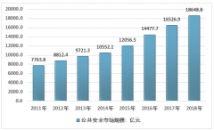 2018年公共安全市場規(guī)模達(dá)1.86萬億元，資金來源以國家財政資金為主[圖]