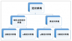 新型冠狀病毒（2019-nCov）蔓延沖擊下，鼠年A股開市暴跌（附新型冠狀病毒特征及最近進(jìn)展）