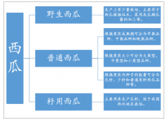 2018年中國及各省市西瓜進(jìn)出口貿(mào)易數(shù)據(jù)分析[圖]