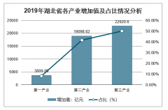 2019年湖北省GDP、各產(chǎn)業(yè)增加值、居民人均可支配收入、地方一般公共預(yù)算收入及基礎(chǔ)設(shè)施投資情況分析[圖]