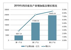 2019年四川省GDP、各產(chǎn)業(yè)增加值、固定資產(chǎn)投資、社會(huì)消費(fèi)品零售額及2020年四川經(jīng)濟(jì)發(fā)展目標(biāo)[圖]