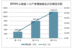 2019年云南省GDP、三大產(chǎn)業(yè)增加值、固定資產(chǎn)投資、社會(huì)消費(fèi)品零售總額及地方一般公共預(yù)算收入與支出分析[圖]