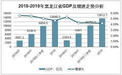 2019年黑龍江GDP、三大產(chǎn)業(yè)增加值、社會(huì)消費(fèi)品零售總額、固定資產(chǎn)投資完成額、進(jìn)出口總值及居民人均可支配收入分析[圖]