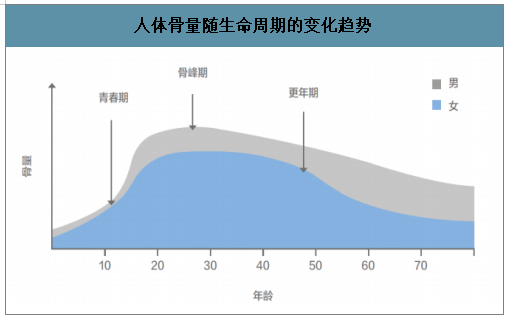 人体骨量随生命周期的变化趋势随着年龄增长,人体骨量呈先增长后不断