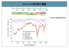 2019年武漢新型冠狀病毒的前世今生、肺炎疫情檢測情況及肺炎疫情防護產(chǎn)品分析[圖]