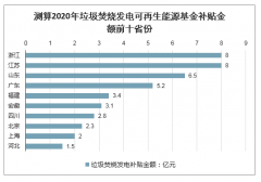 2020年生物質(zhì)發(fā)電行業(yè)可再生能源基金補(bǔ)貼額、裝機(jī)容量目標(biāo)及未來發(fā)展前景分析預(yù)測(cè)[圖]