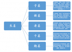 2019年中國生姜產(chǎn)業(yè)進出口貿(mào)易格局分析[圖]