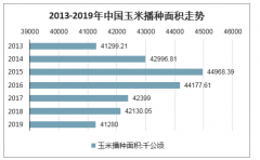 2019年中國玉米產(chǎn)消量、供需平衡情況、2020年玉米價(jià)格走勢及市場演變進(jìn)程分析[圖]