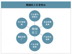 2019年中國精細(xì)化工行業(yè)概述及影響行業(yè)發(fā)展的主要因素分析[圖]