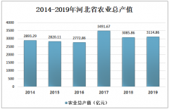 2019年河北省蔬菜產(chǎn)量及進(jìn)出口發(fā)展問題分析：疫情期間對河北省蔬菜產(chǎn)業(yè)的影響[圖]