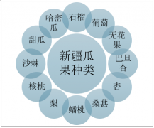 2019年新疆瓜果產(chǎn)業(yè)分析：新疆園林水果產(chǎn)量1118.72萬(wàn)噸[圖]