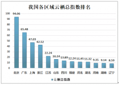 中国云服务行业现状及未来发展趋势分析[图]