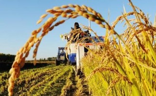 2020年中國農業保險行業市場發展分析：市場形成了以政策性農業保險為主，以商業性農業保險為輔的發展體系[圖]