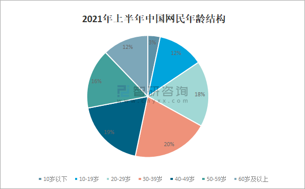 2021年中国网民规模及网民结构分析中国网民规达1011亿人其中手机网民