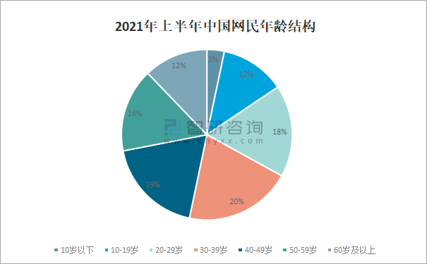 2021年上半年中国网民年龄结构