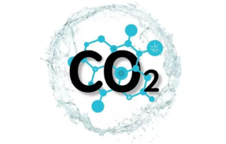 2020年中国食品级二氧化碳行业发展现状及企业分析