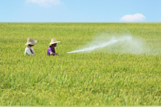 农药行业：农药板块Q4业绩表现有望超越季节性 来年春耕行情可期