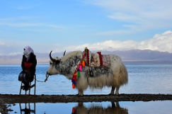 旅游业：服务业纾困措施出台 利好线下消费服务业态