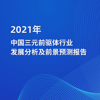 2021年中国三元前�z驱体行业发展分析及前景〓预测报告