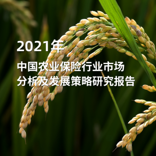 2021年中国农业保险行业市场分析及发展策略研①究报告