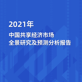 2021年中国共享经济市场 全景研究及预测分析报告