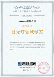 中國日光燈行業(yè)市場地位聲明