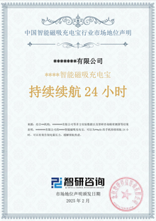 中國智能磁吸充電寶市場地位聲明