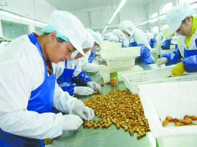 2013年陕西省农产品加工业发展现状分析