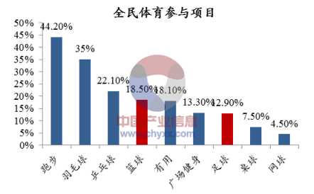 2015年我國體育行業大眾體育賽事概述圖